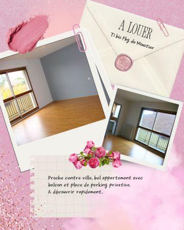 Location - Appartement - 1 pièces - 29.29 m² - montauban