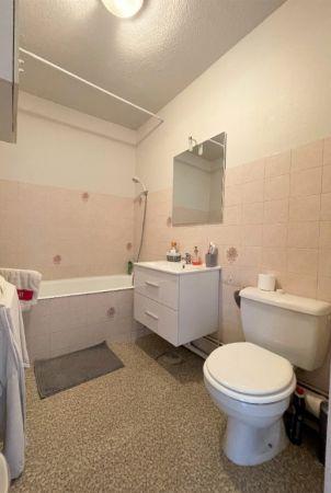 Location - Appartement - 1 pièces - 27.53 m² - montauban