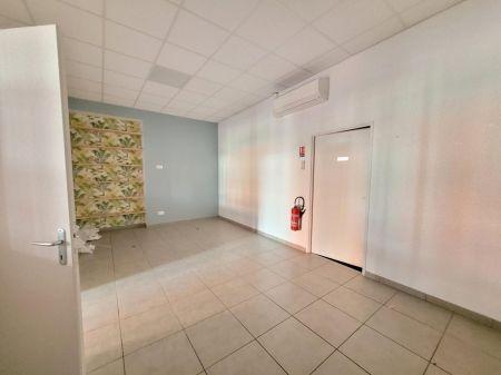 Location - Local commercial ou professionnel - montauban