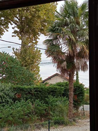 Vente - Maison - 3 pièces - 100.00 m² - montauban