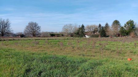 Vente - Terrain - lafrancaise