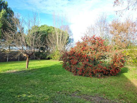 Vente - Maison - 4 pièces - 100.00 m² - montauban