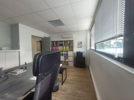 Location - Local commercial ou professionnel - montauban