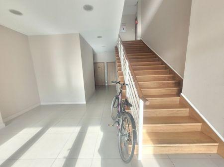 Location - Local commercial ou professionnel - montauban