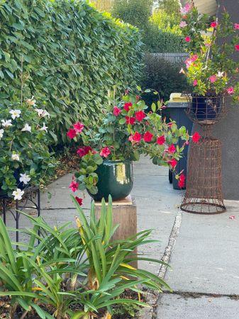 Vente - Maison - 4 pièces - 90.00 m² - montauban