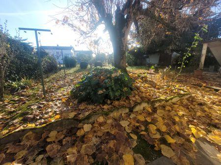 Vente - Maison - 7 pièces - 175.61 m² - montauban