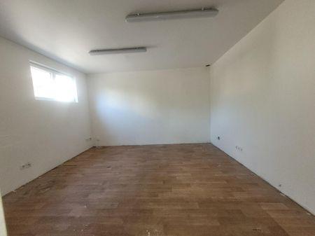 Location - Local commercial ou professionnel - montauban